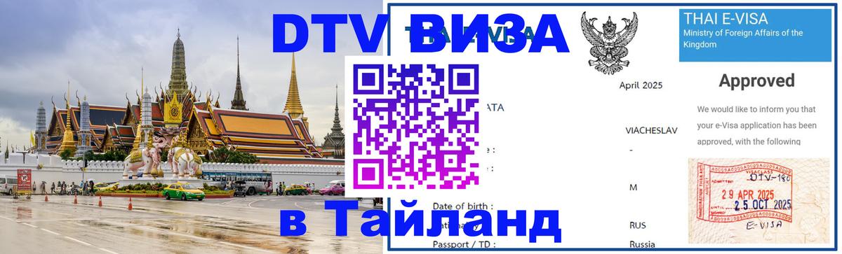 Сколько стоит DTV виза — актуальные цены, оформление даже без документов - Михайловск  04.10.2025 
